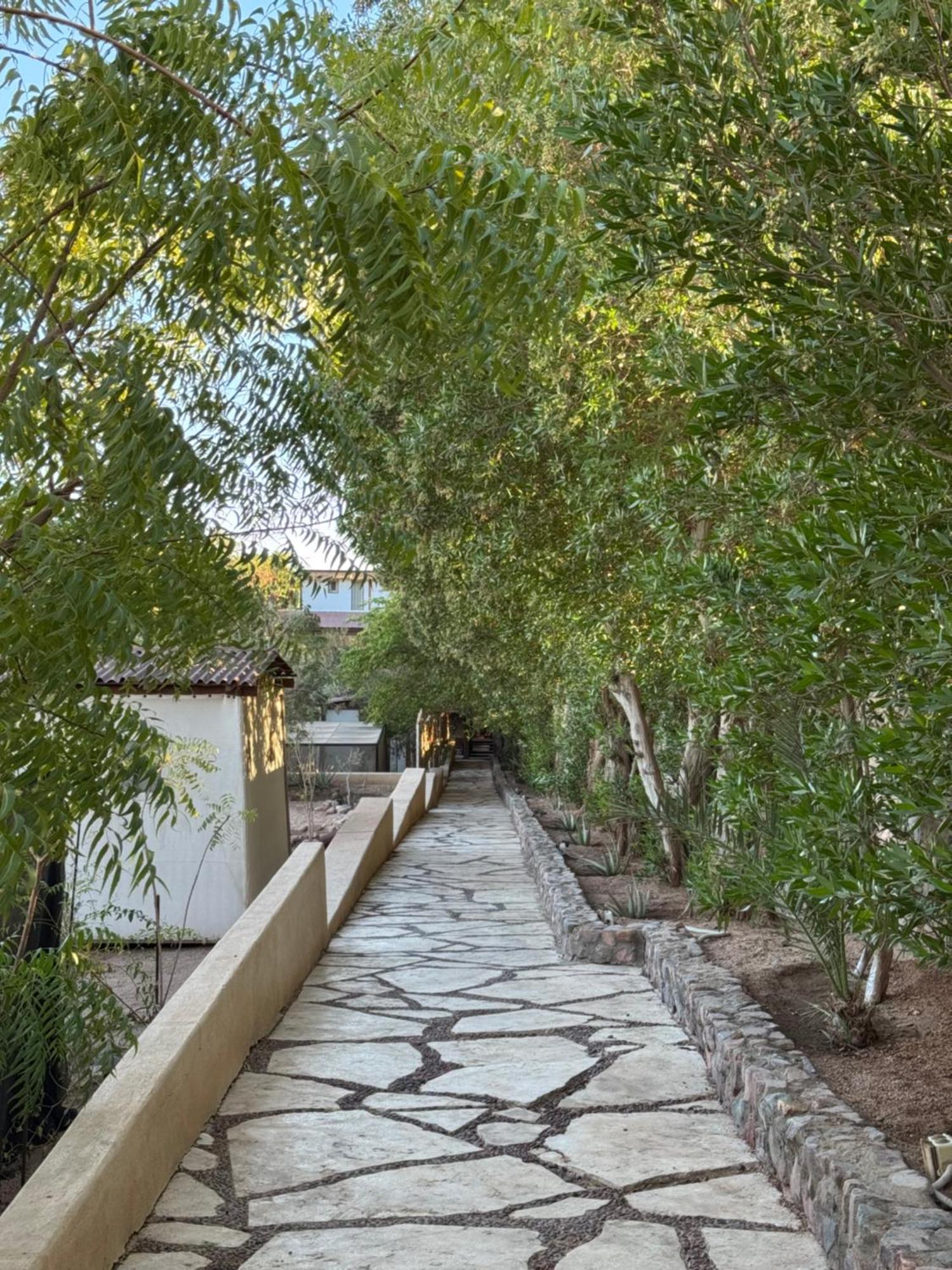 The Wind Farm Villa Dahab Exterior foto